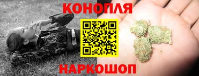 прущие грибы Беслан