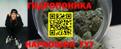 PSILOCYBIN Берёзовский