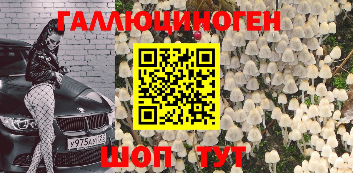 Галлюциногенные грибы MAGIC MUSHROOMS Дзержинск