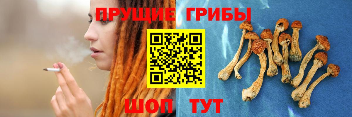что такое наркотик  Галлюциногенные грибы прущие грибы  Вход с VPN  Дзержинск 